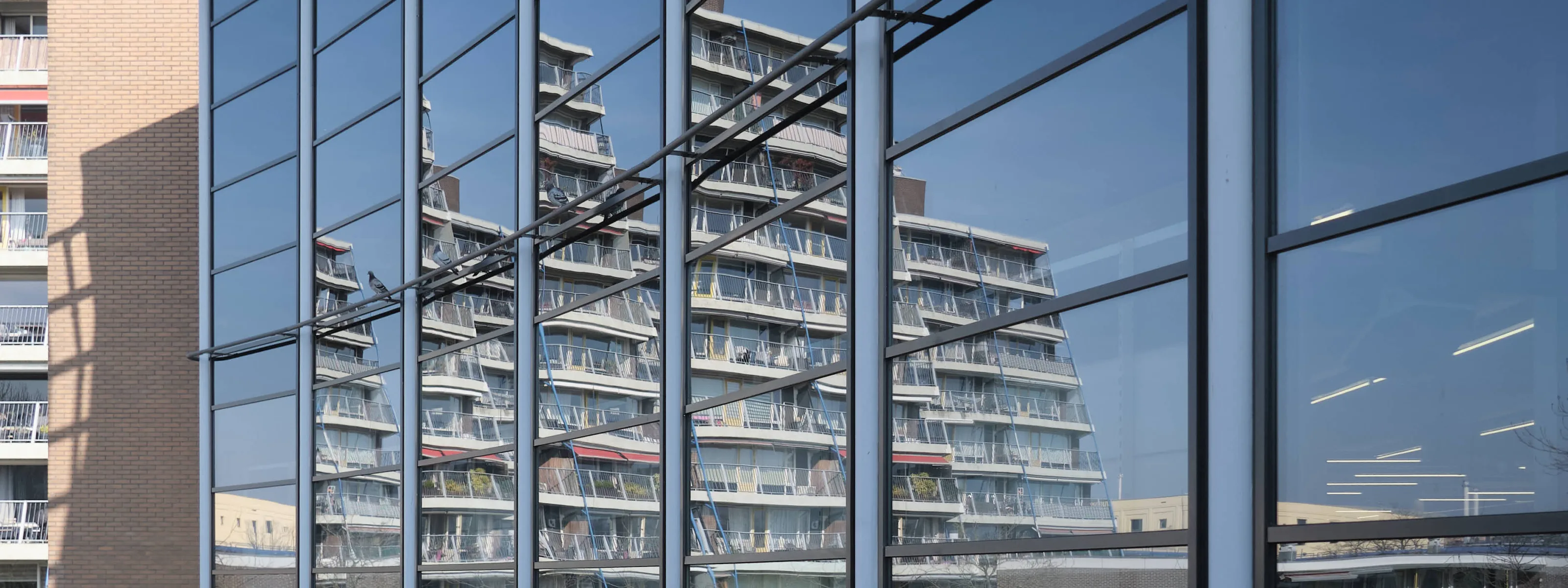 Zuidplein