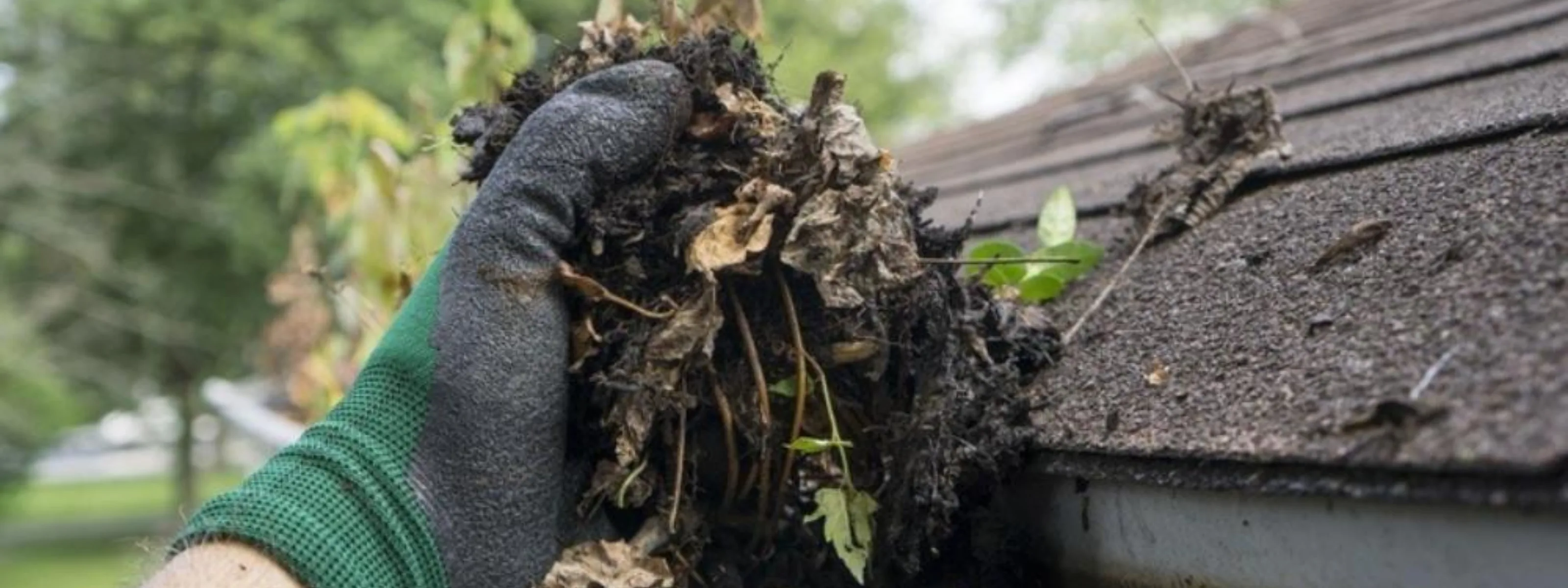 Dakgootreiniging achterstallig onderhoud 1